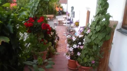 Gasthaus zum Späth Englmannsberg allemagne