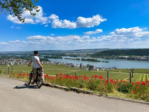 Hôtel Gasthof Krancher Eibinger Oberstr.4 Rüdesheim am Rhein