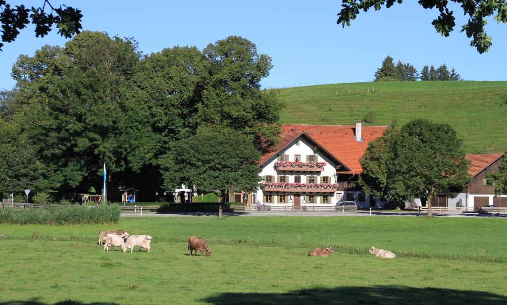 Auberge Gasthof Lamprecht Lamprecht 1, 86971 Peiting