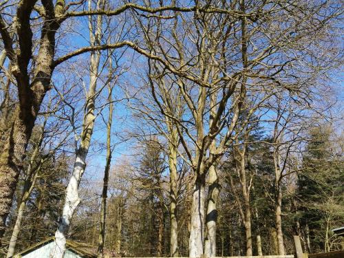 Gaststatte Waldheim Bohmstedt allemagne