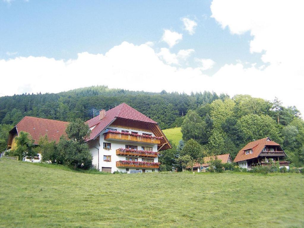 Appartements Geigerbauernhof 9 Büchern, 77796 Mühlenbach