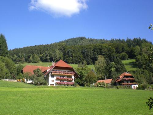 Geigerbauernhof Mühlenbach allemagne