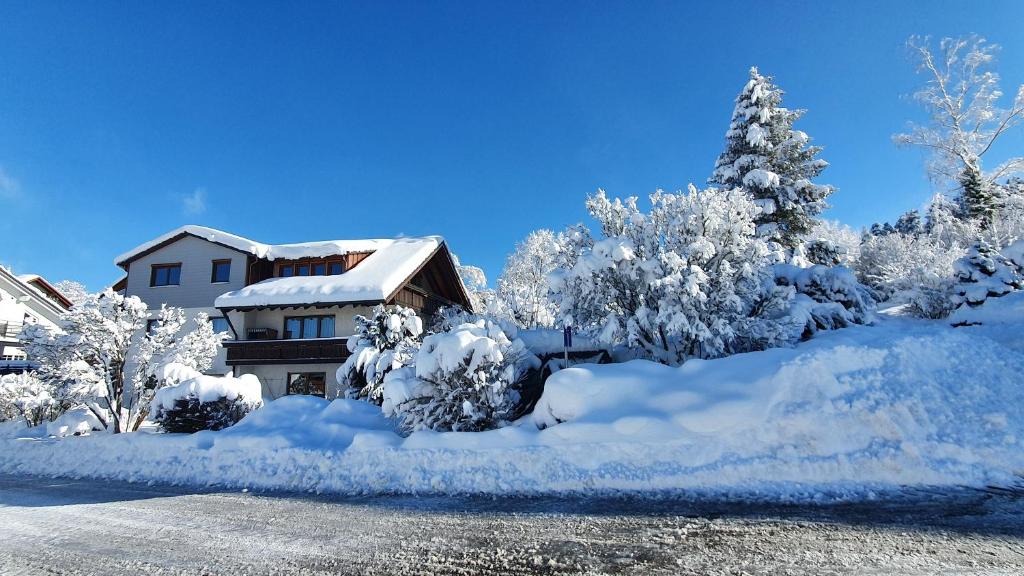 Appartement Gemütliche Ferienwohnung mit Terrasse, im Schwarzwald 2 Am Stücklesberg, 72296 Schopfloch