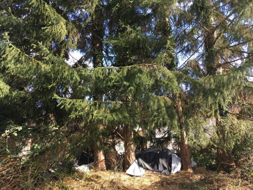 Gemütliche Wohnung auf dem Ziegenhof Lemgo allemagne