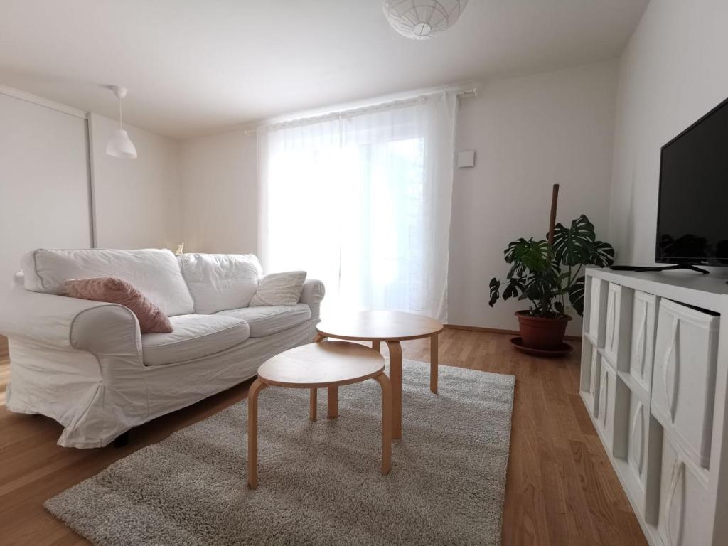 Appartements Gemütliches Privatzimmer in geräumiger Gemeinschaftswohnung Nöthnitzer Str. 65f, 01187 Dresde