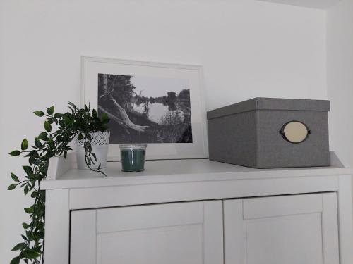 Appartement Gemütliches, voll ausgestattetes Apartment 6 Emil-Fischer-Straße Halle-sur-Saale
