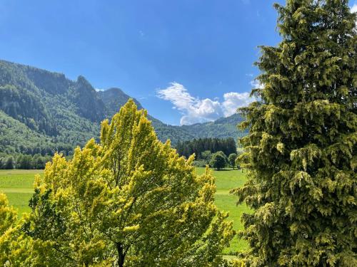 Geräumiges Domizil mit Bergblick Oberwössen allemagne