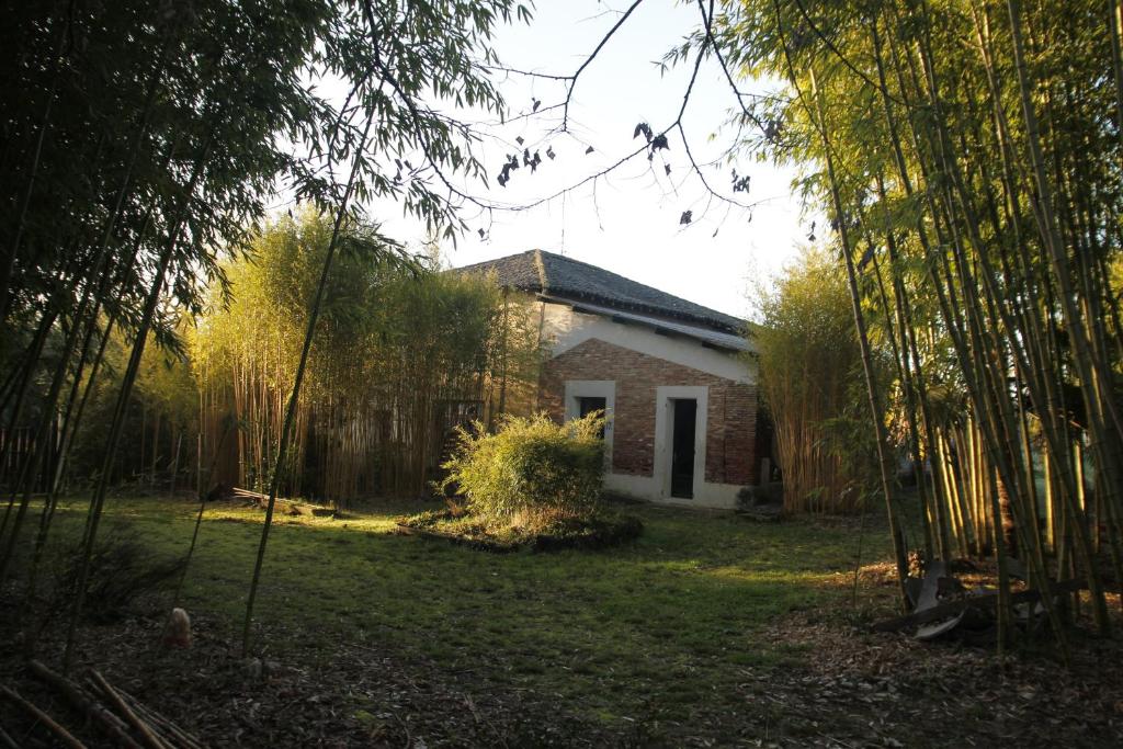 Maison de vacances Gîte 12 à 14 personnes au cœur d'une magnifique bambouseraie 1289 Chemin de Leriet, 82100 Castelsarrasin