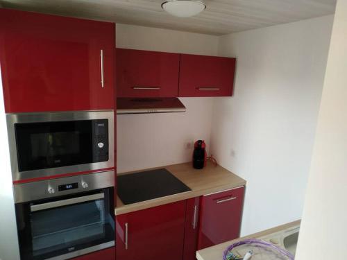 Gîte 4 personnes avec extérieur Saint-Maurice-de-Rotherens france