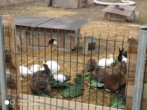 Gîte à la ferme Laudun-l\'Ardoise france