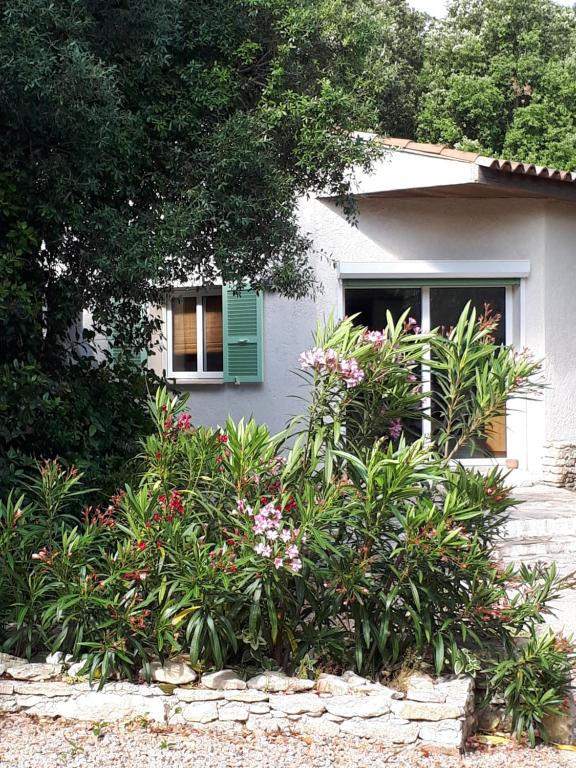 Maisons de vacances Gîte Acellu l'Alivi, 20169 Bonifacio