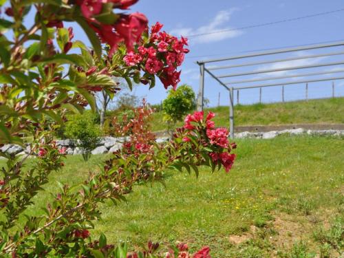 Maison de vacances Gîte Alçay-Alçabéhéty-Sunharette-Alçabéhéty, 4 pièces, 6 personnes - FR-1-384-14 Bourg D'Alcabehety -  - Alçay-Alçabéhéty-Sunharette