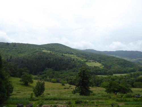 Appartement Gîte Alexandrine 293 chemin de la Rivoire Saint-Julien-Molin-Molette