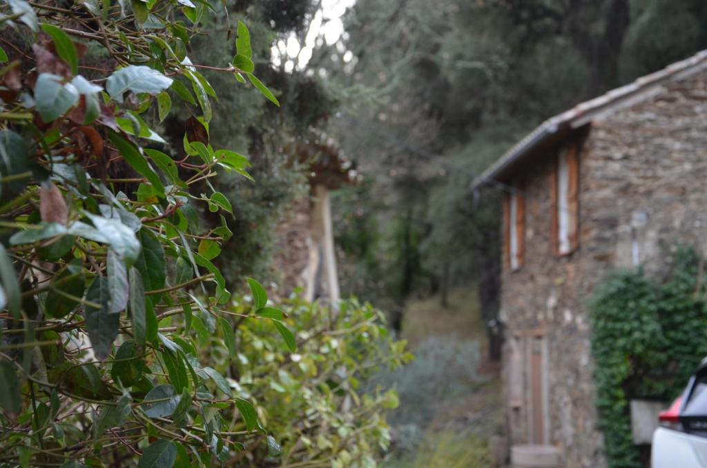 Séjour à la campagne GITE ANANDA LES HAUTS DE LA MALIERE Hubac de la Malière, 83610 Collobrières