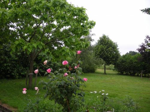 Maison de vacances Gîte Argenton-sur-Creuse, 7 pièces, 12 personnes - FR-1-591-209 Vaux Argenton-sur-Creuse