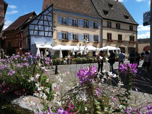 Gîte au château fleuri Eguisheim france