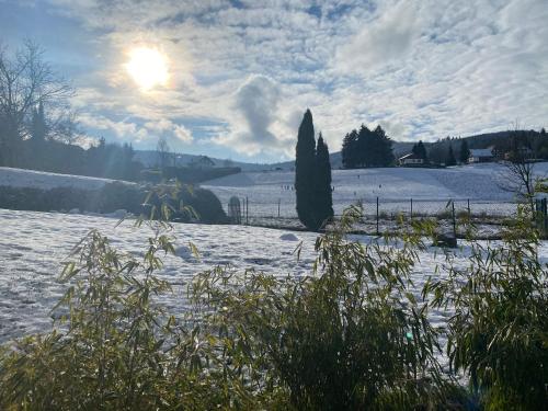 Gîte au cours d’eau Le Hohwald france