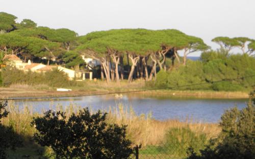 Maison de vacances Gite au mas aqui sian ben route des Salins 314 route des Salins Mas Aqui Sian Ben Saint-Tropez