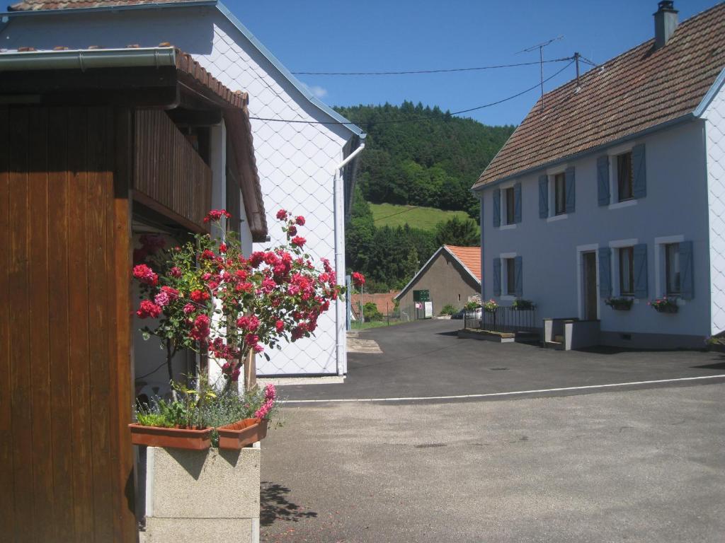 Maison de vacances Gite Au Pays Welche 8 Rue de l'Église, 68650 Lapoutroie