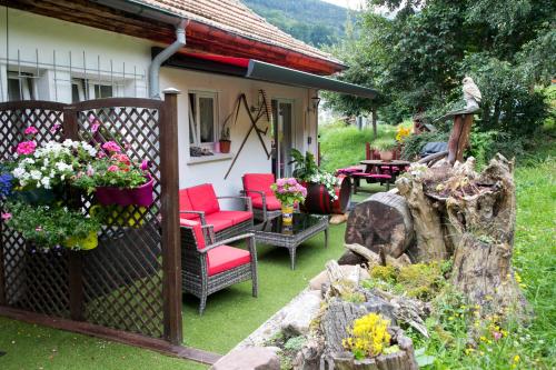 Gite Chez Mimie Breitenbach-Haut-Rhin france