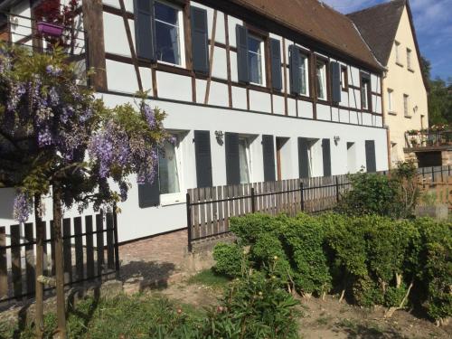 Appartement Gîte côté jardin 9 rue des trois-epis Ingersheim