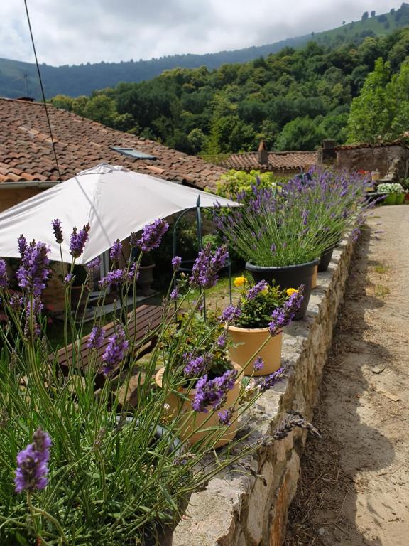 Maison de vacances Gite De Charme Hameau de Micou, 09000 Ganac