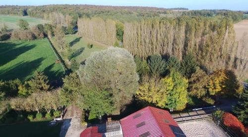 Gîte de l'Homme Blanc Soizy-aux-Bois france