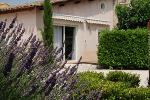 Gîte de l'Olivier Aramon france