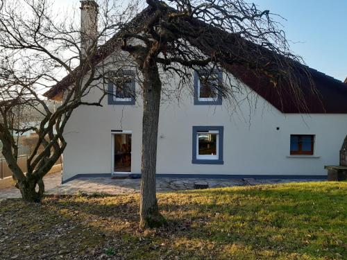 Gîte de la Grande Rainette Grosne france