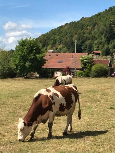 Gîte de la Mésange Rochesson france