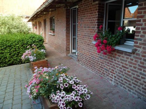 Gîte de la Noyelle à Sainghin en Mélantois Sainghin-en-Mélantois france