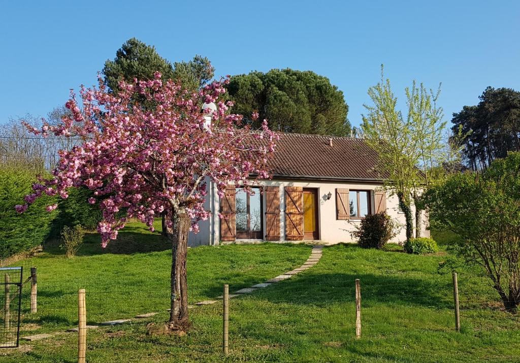 Maison de vacances Gîte de la pomme de pin 1663 Route de Beauval, 41110 Seigy