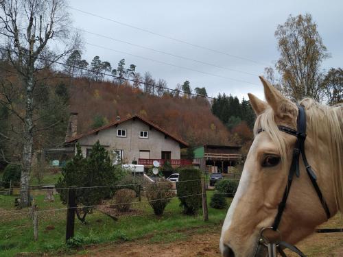 Gîte De La Vallée Soucht france