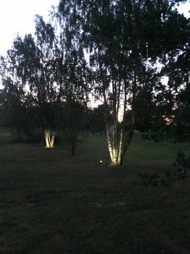 Gite des 2 arbres de la sagesse , agréable chalet avec spa privatif Ardentes france