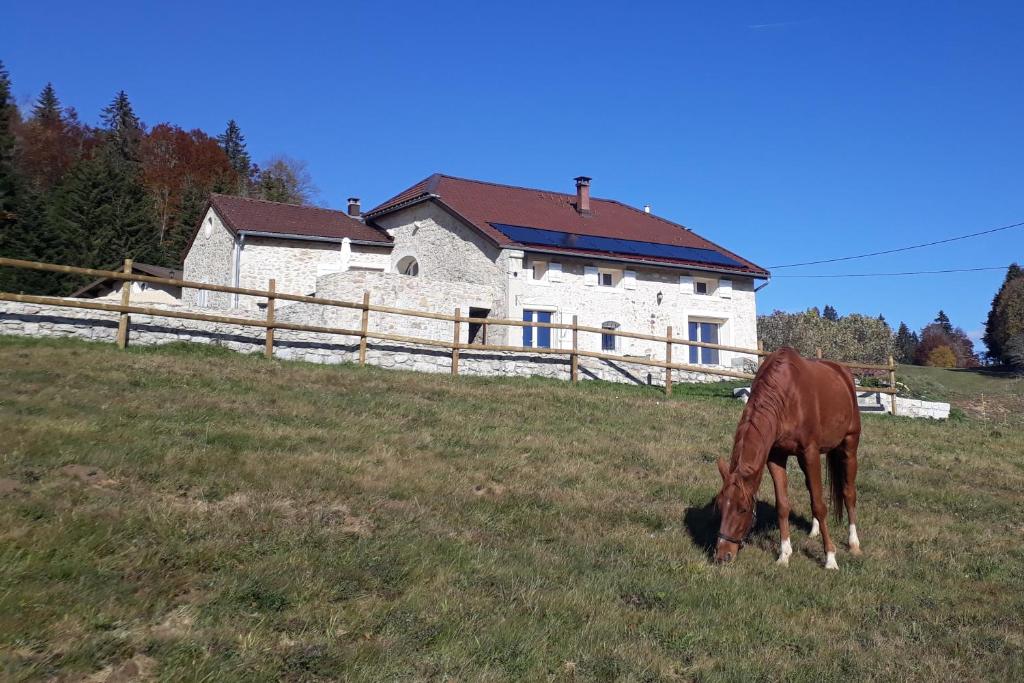 Maisons de vacances Gîte des 3 Marches 1268 Route de Saint-Claude, 39310 Lamoura