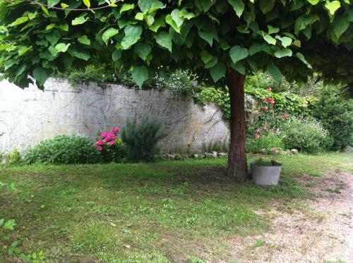 Maison de vacances Gîte des petites Poules rousses 9 personnes Zoo Beauval et Châteaux de la Loire 12 Chemin de la Richaudière Choussy