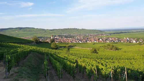 Gîte des Seigneurs 2 Ammerschwihr france