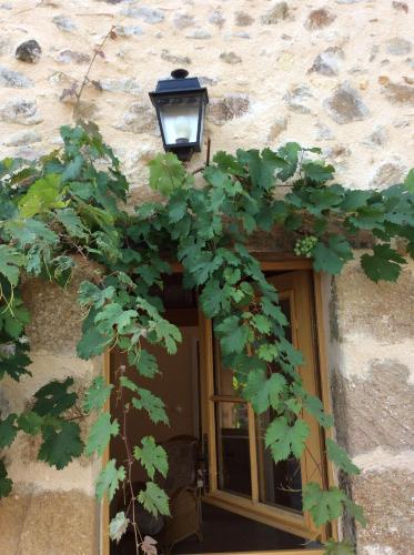 Gîte Des Vergnes Esse france