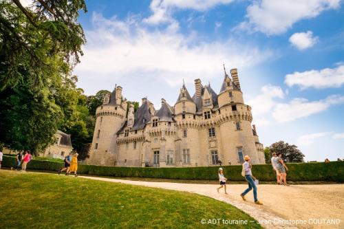 Gîte Desvergnes Tours france