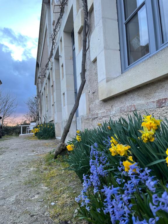 Appartements Gîte du cep 1 Rue aux Loups, 37140 Benais
