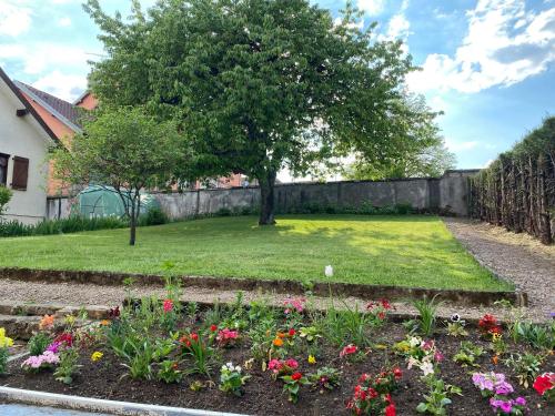 Appartement Gîte du cerisier 3 Avenue du Breuchin Raddon-et-Chapendu