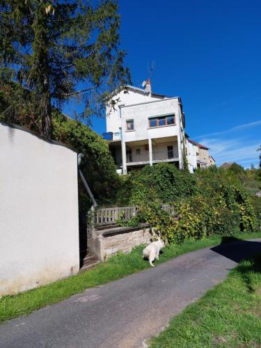 Maison de vacances gite du chateau de champlitte 33. rue de la republique Champlitte-et-le-Prélot