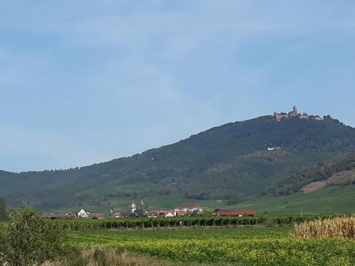 Gite du forgeron Saint-Hippolyte france