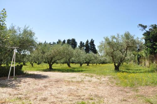 Gîte Du Mas Des Oliviers Mézoargues france