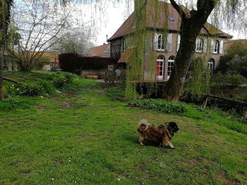 GITE DU MOULIN Renty france