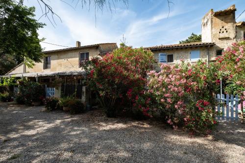 gîte du Pigeonnier Mas Médaille Arles france