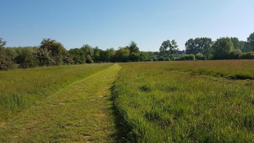 Gite du vieux saule Vieil-Hesdin france