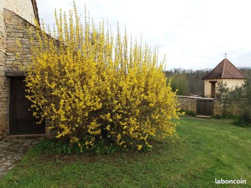 Maison de vacances Gite en Perigord, chez Lydia 4 chemin du breuil Condat-sur-Vézère