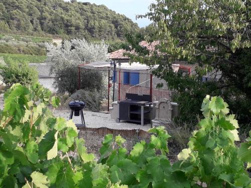 Maison de vacances Gîte en provence au coeur des vignes 393 chemin serre de la donne Villedieu