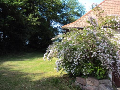 Maison de vacances Gite Equipe avec Espace Vert Les Alaisons Barrais-Bussolles